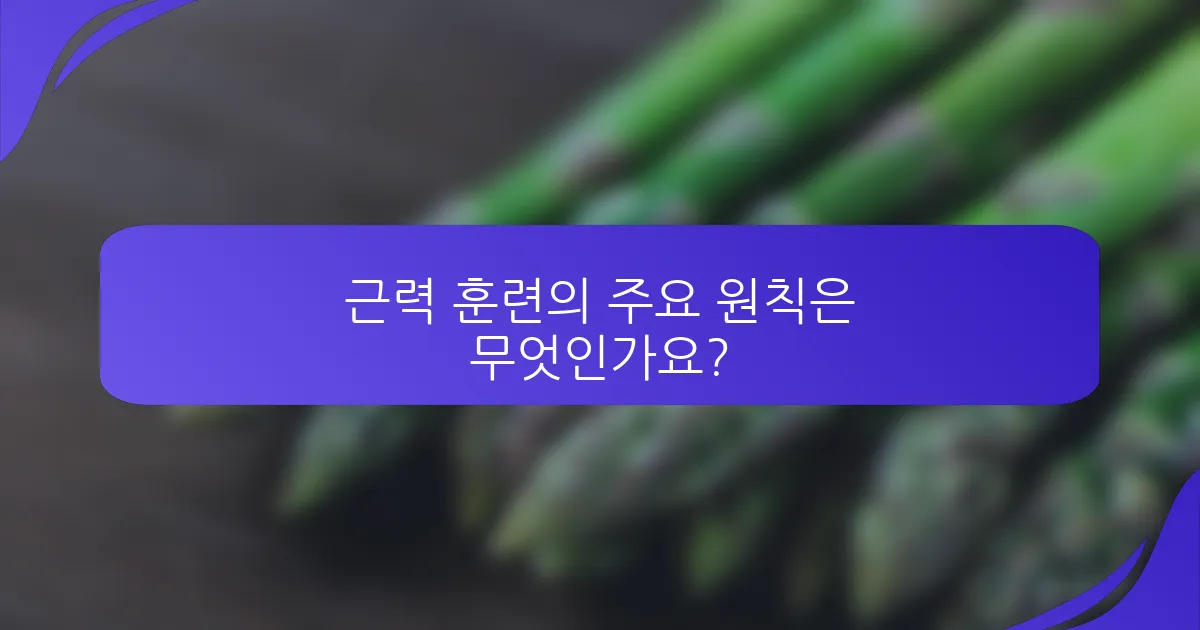 근력 훈련의 주요 원칙은 무엇인가요?
