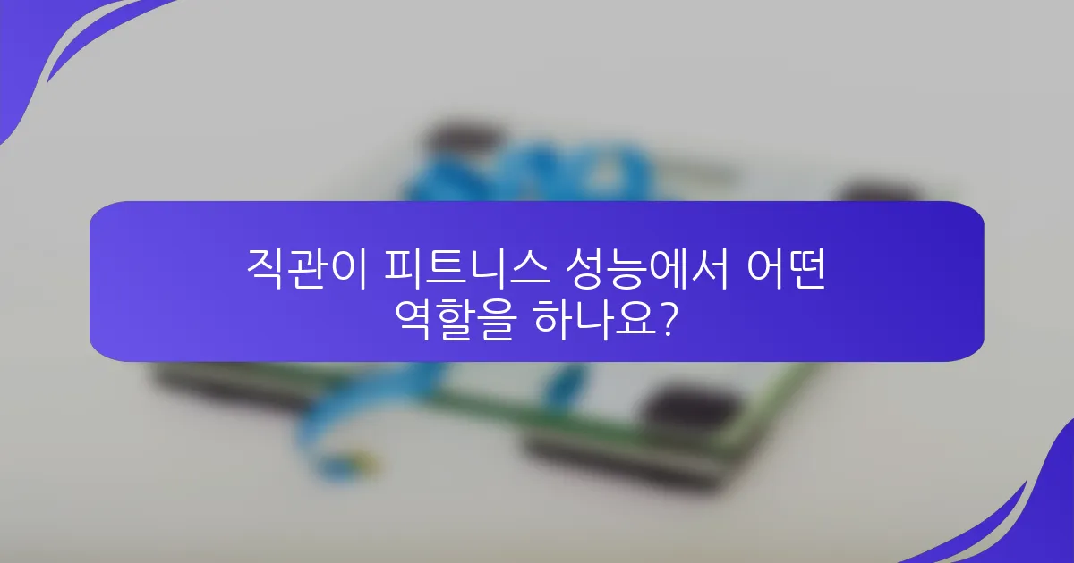 직관이 피트니스 성능에서 어떤 역할을 하나요?