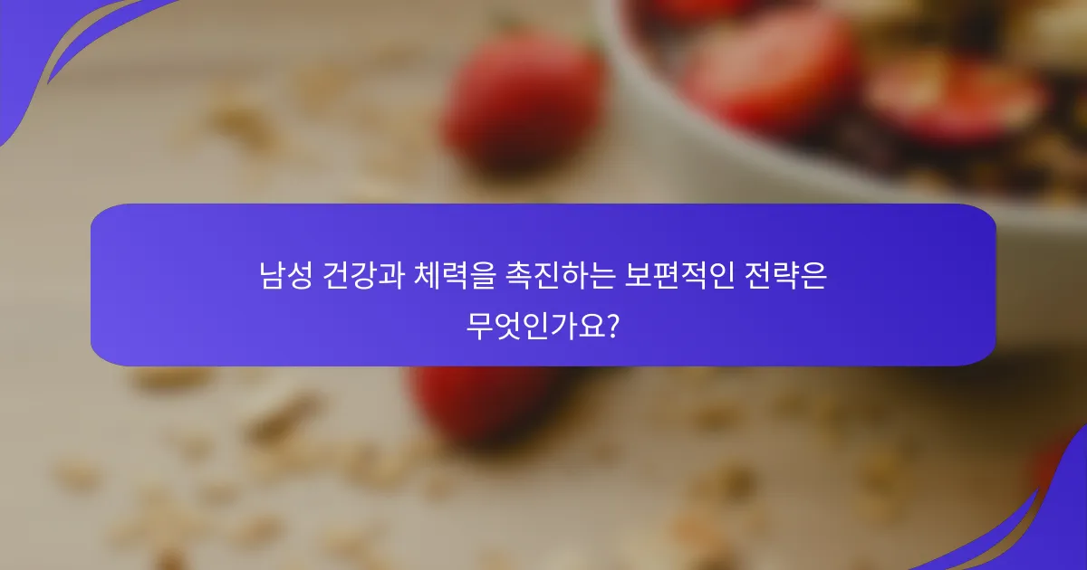 남성 건강과 체력을 촉진하는 보편적인 전략은 무엇인가요?